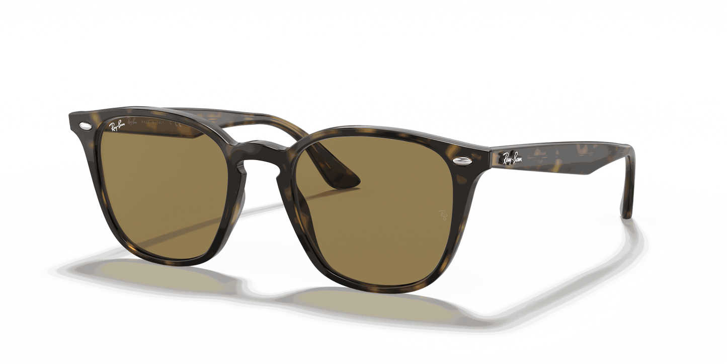 [B-15 Brown Lenses, Polished Light Havana Frame]