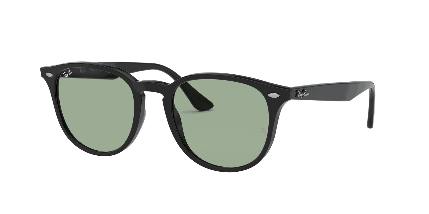 [Light Green Classic Lenses, Polished Black Frame]
