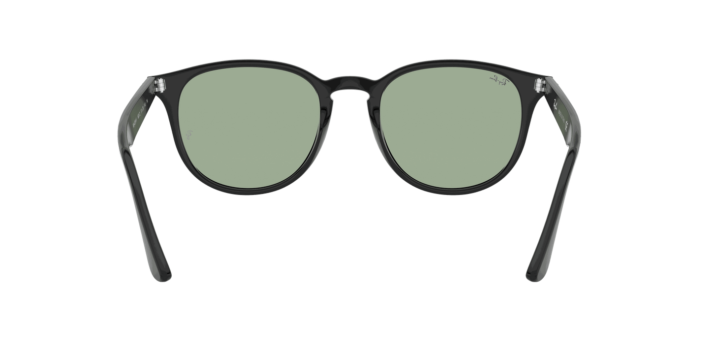 [Light Green Classic Lenses, Polished Black Frame]