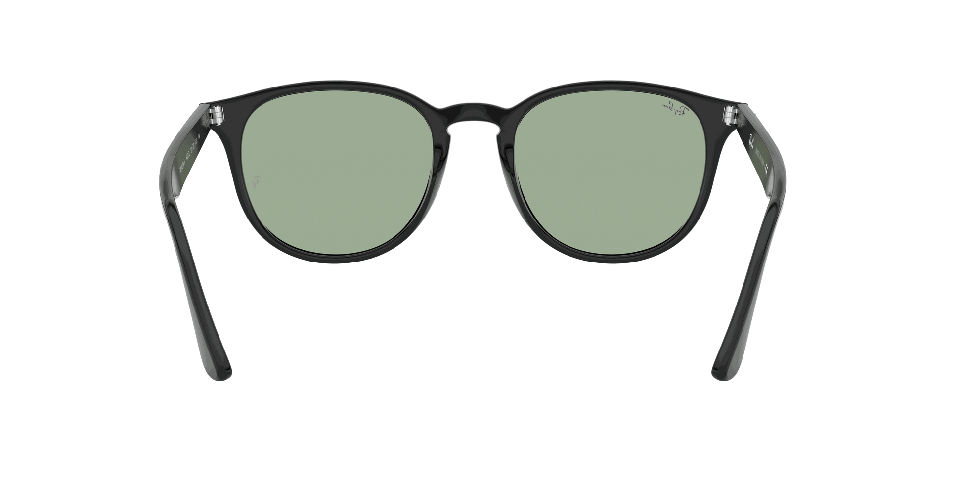 [Light Green Classic Lenses, Polished Black Frame]