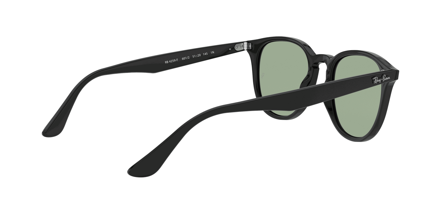 [Light Green Classic Lenses, Polished Black Frame]