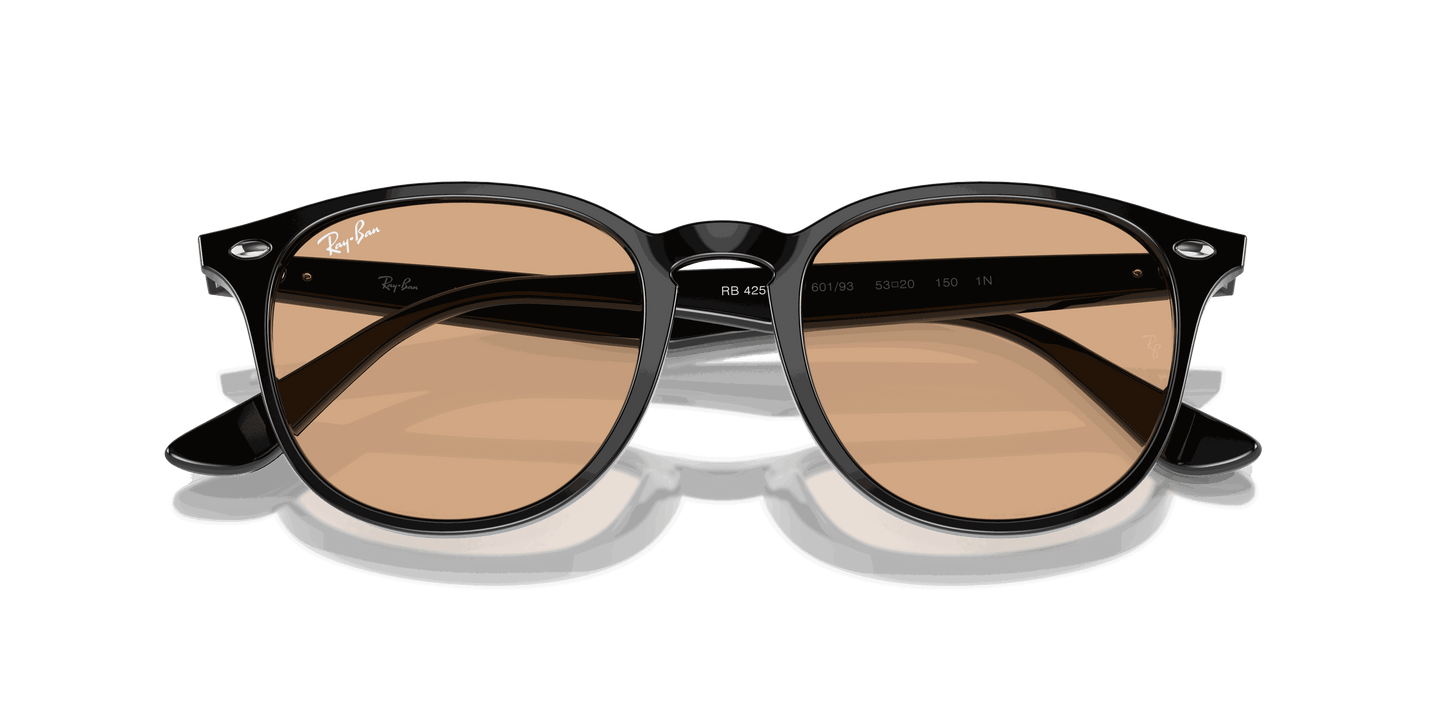 [Brown Lenses, Polished Black Frame]