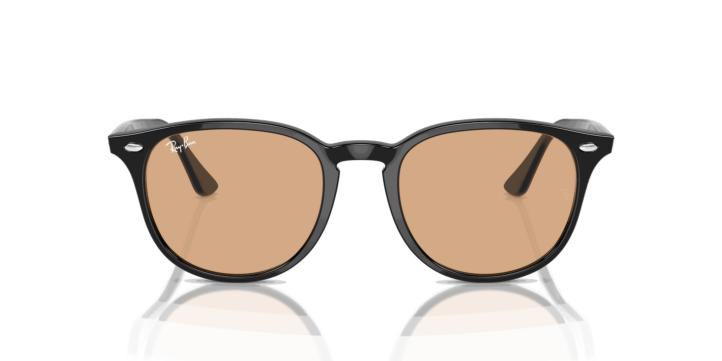 [Brown Lenses, Polished Black Frame]