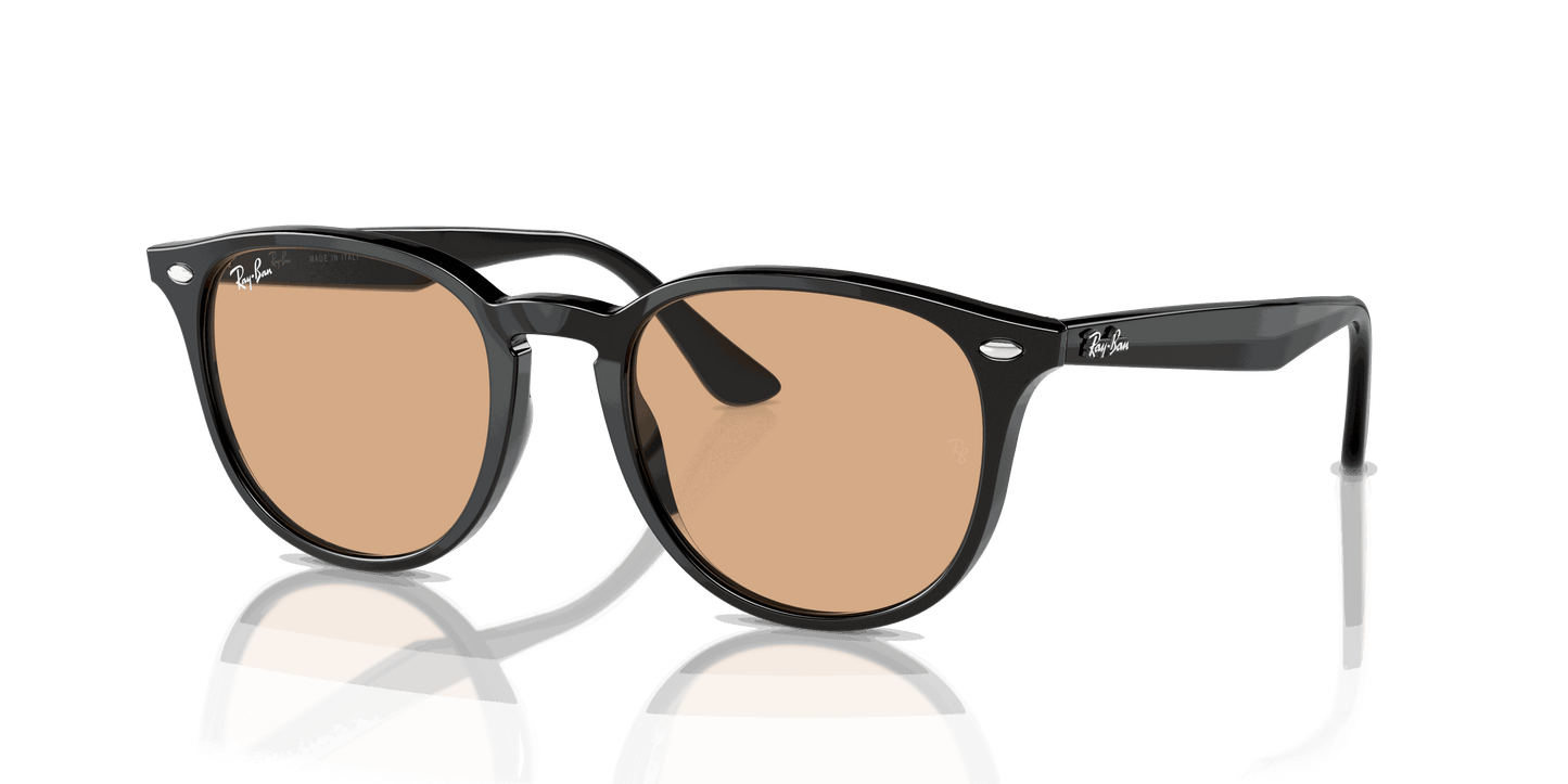 [Brown Lenses, Polished Black Frame]