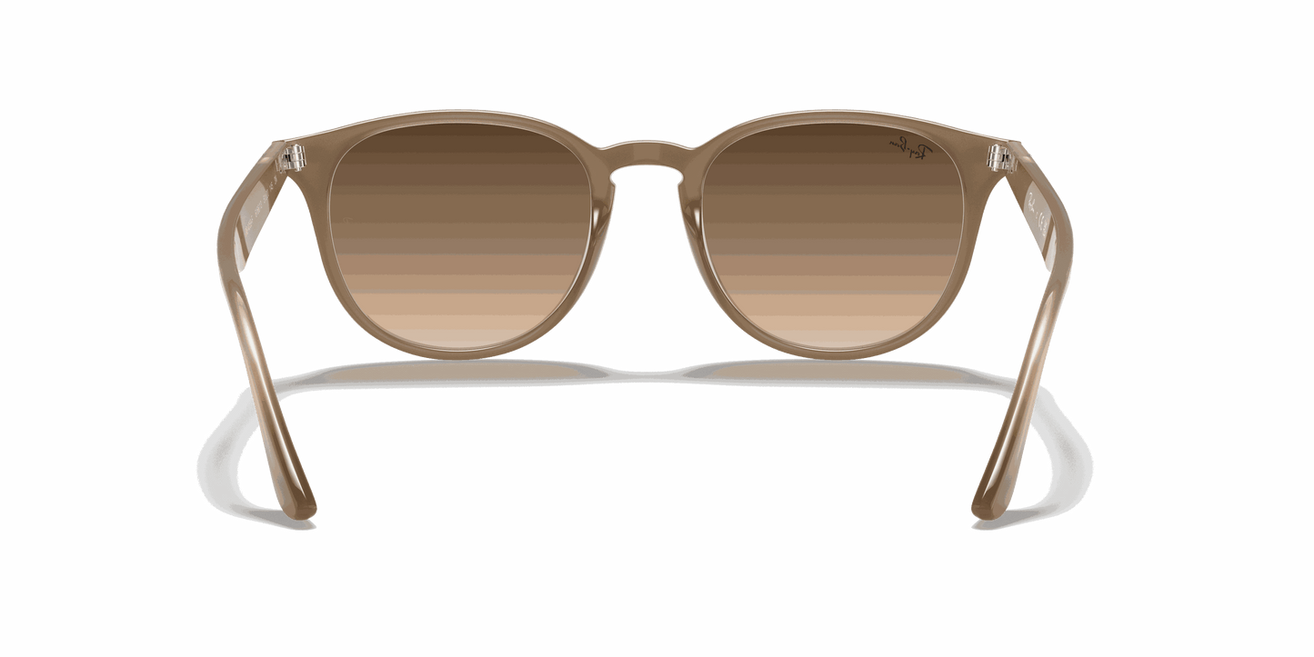 [Brown Gradient Lenses, Polished Beige Frame]