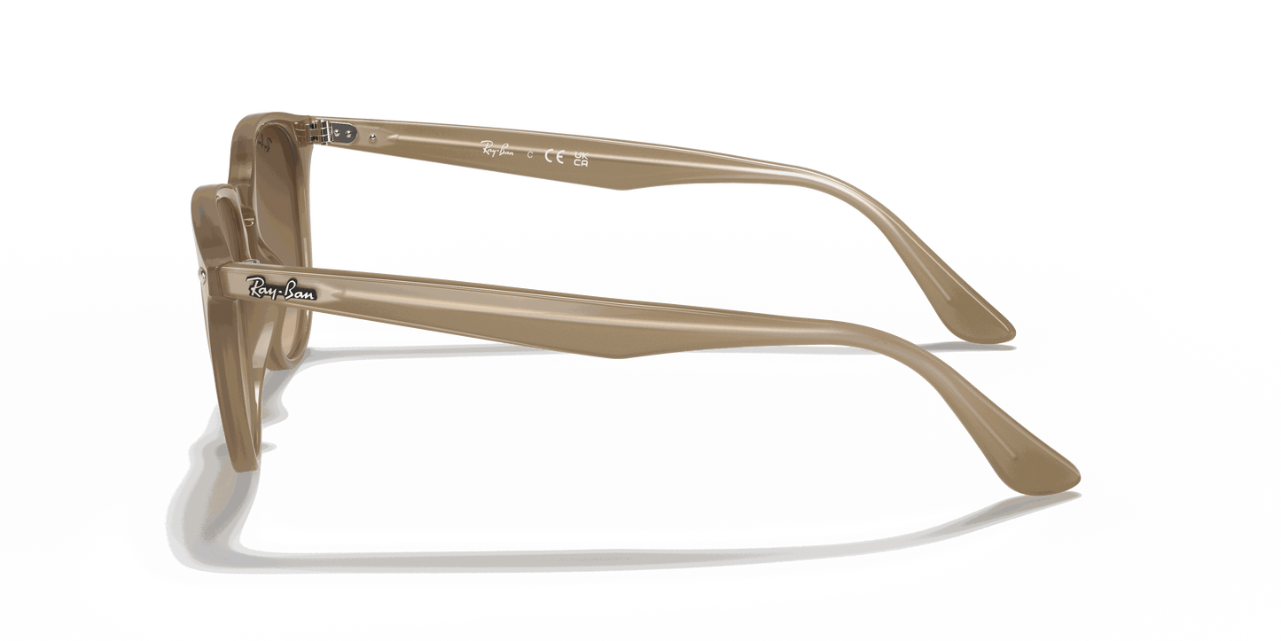 [Brown Gradient Lenses, Polished Beige Frame]