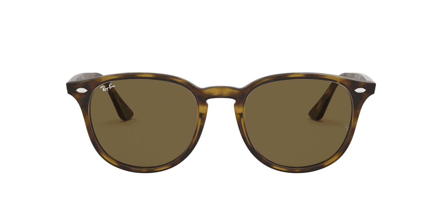[B-15 Brown Lenses, Polished Light Havana Frame]