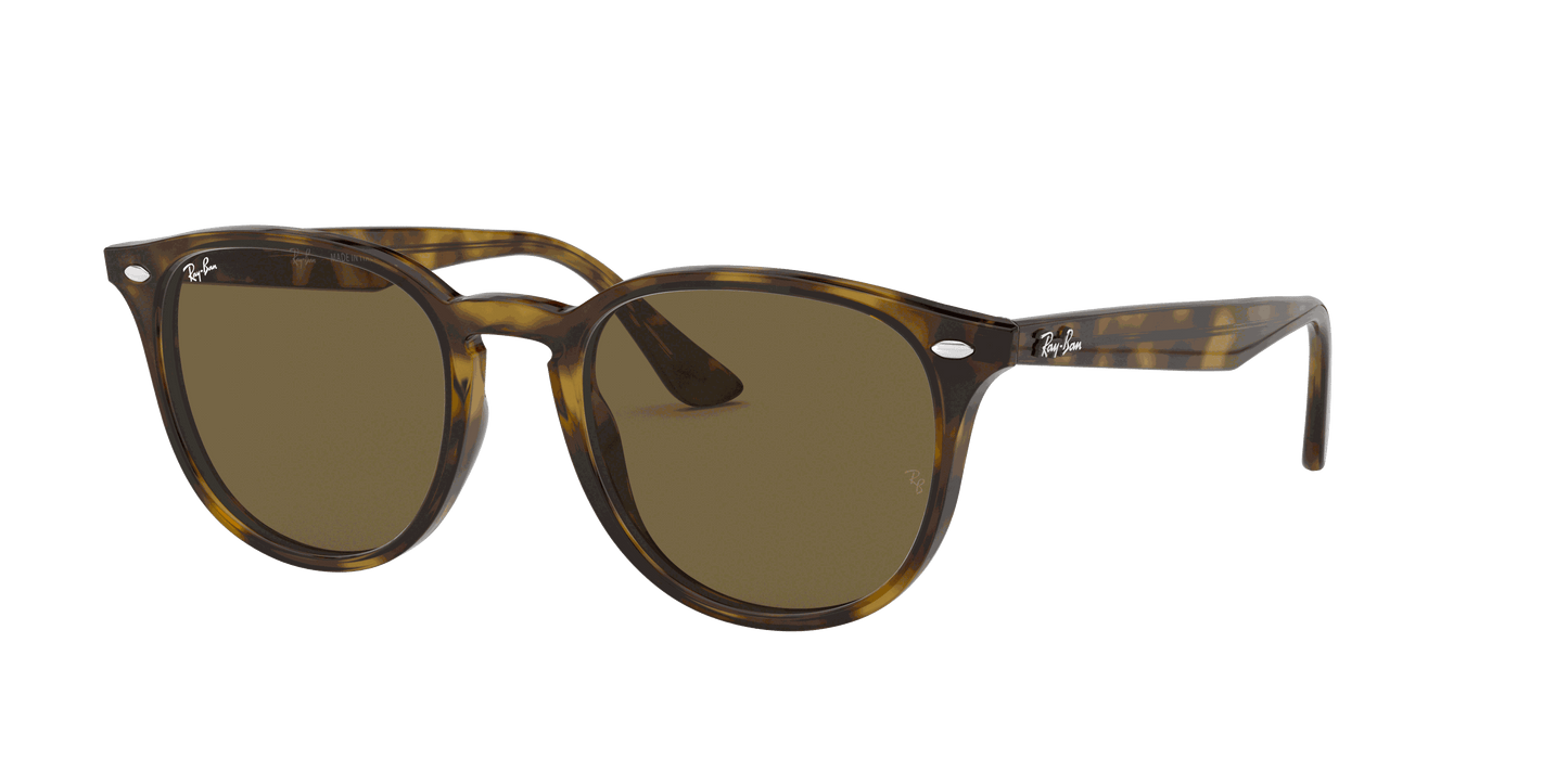[B-15 Brown Lenses, Polished Light Havana Frame]