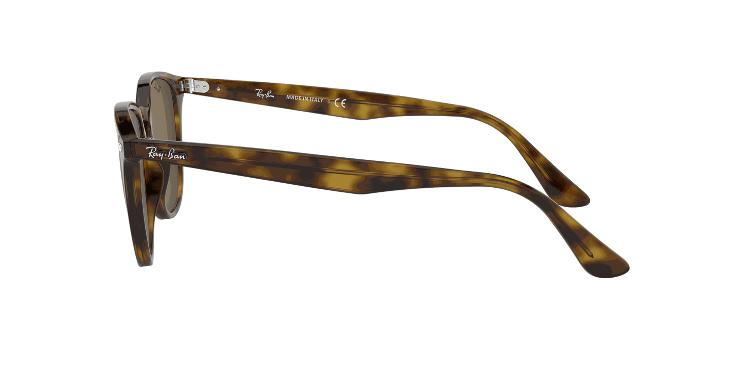 [B-15 Brown Lenses, Polished Light Havana Frame]