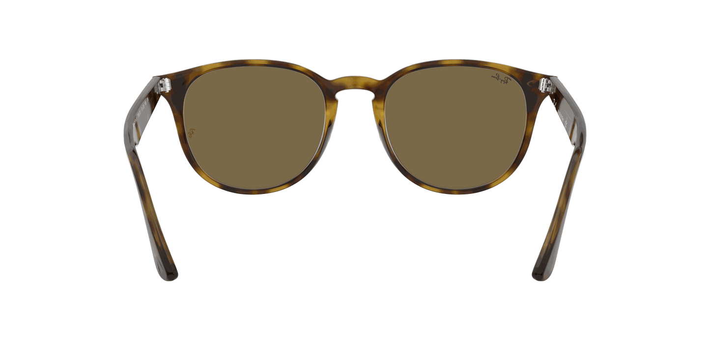 [B-15 Brown Lenses, Polished Light Havana Frame]