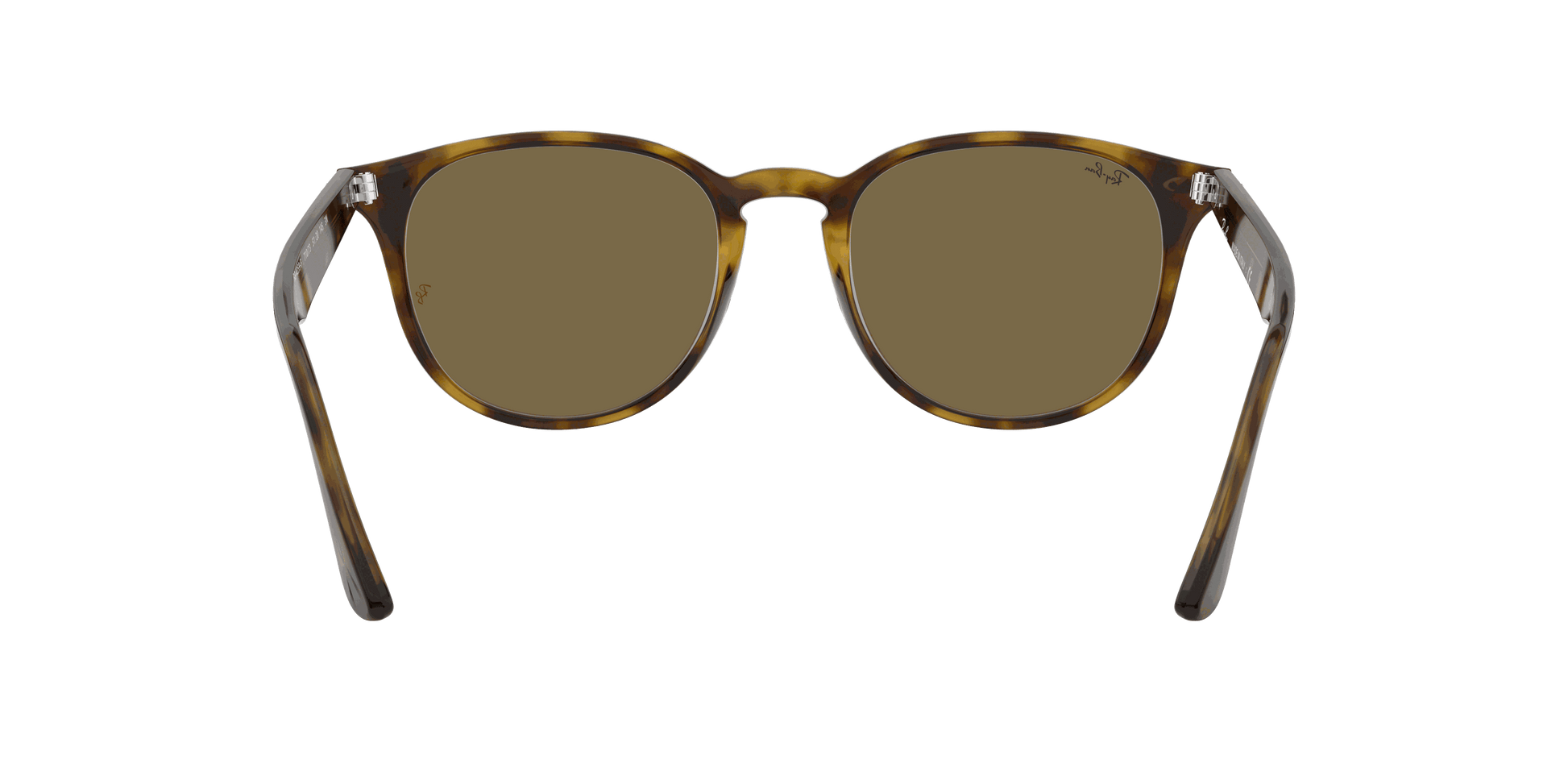[B-15 Brown Lenses, Polished Light Havana Frame]