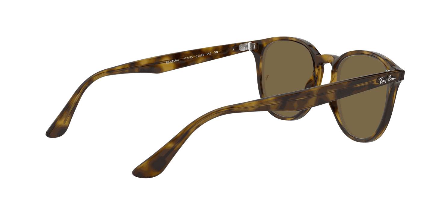 [B-15 Brown Lenses, Polished Light Havana Frame]