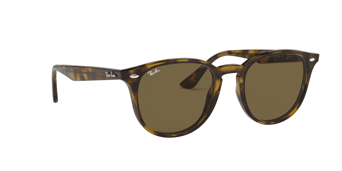 [B-15 Brown Lenses, Polished Light Havana Frame]