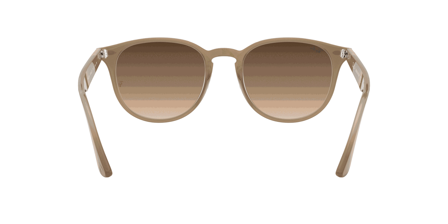 [Brown Gradient Dark Brown Lenses, Polished Beige Frame]