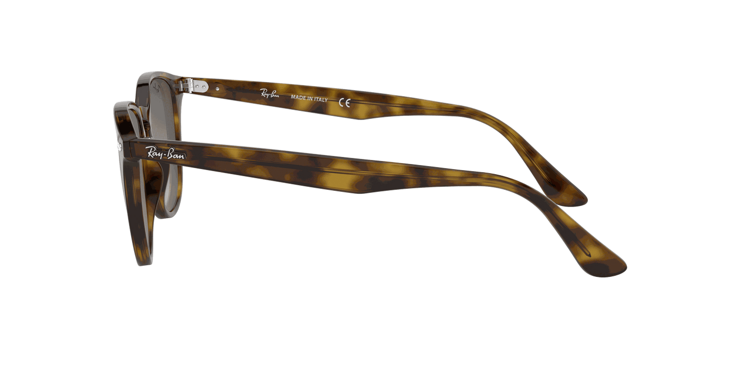 [Grey Gradient Lenses, Polished Light Havana Frame]