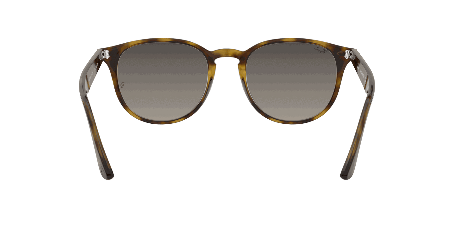 [Grey Gradient Lenses, Polished Light Havana Frame]