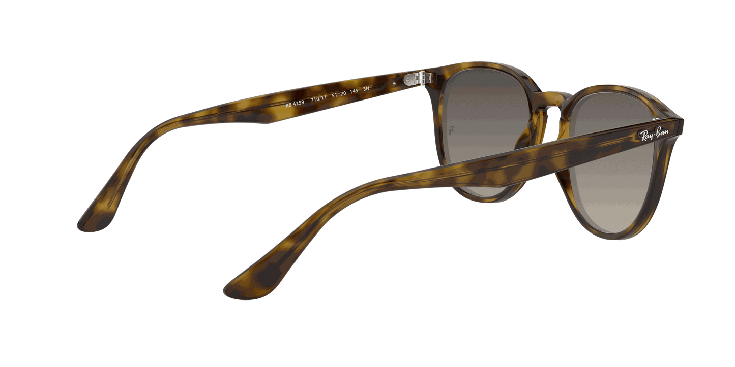 [Grey Gradient Lenses, Polished Light Havana Frame]