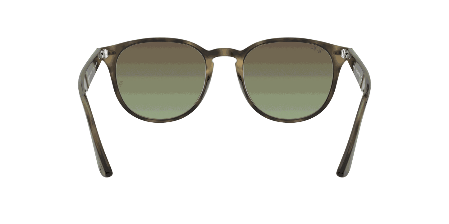 [Brown Gradient Lenses, Polished Grey Havana Frame]