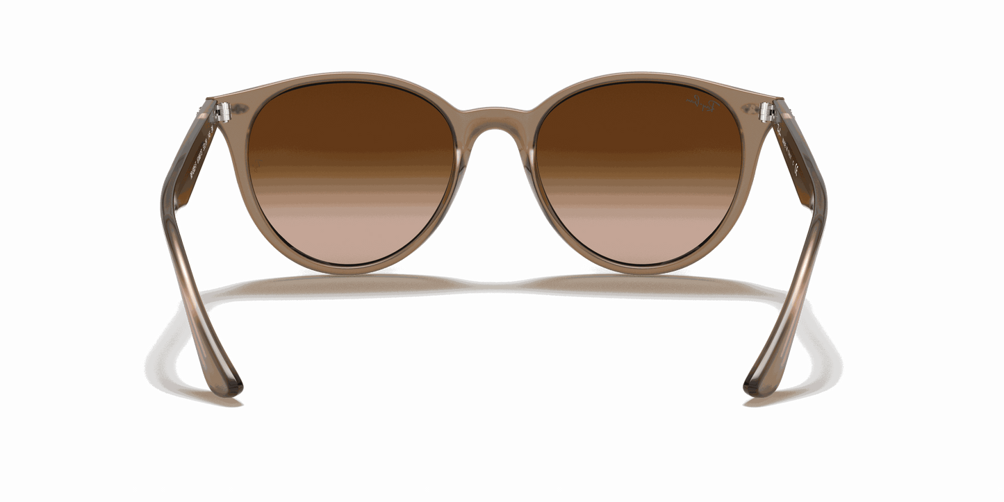[Brown Gradient Lenses, Polished Beige Frame]
