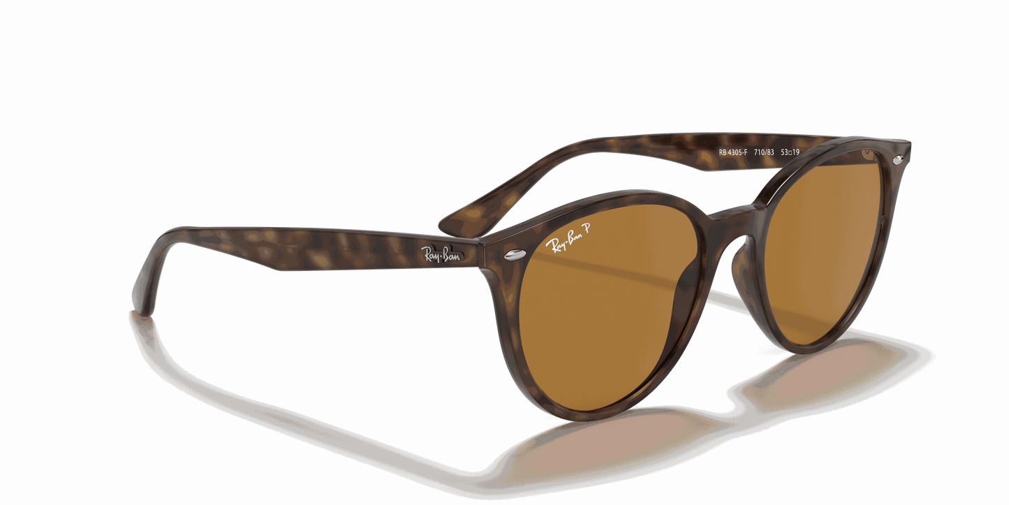 [B-15 Brown Lenses, Polished Light Havana Frame]