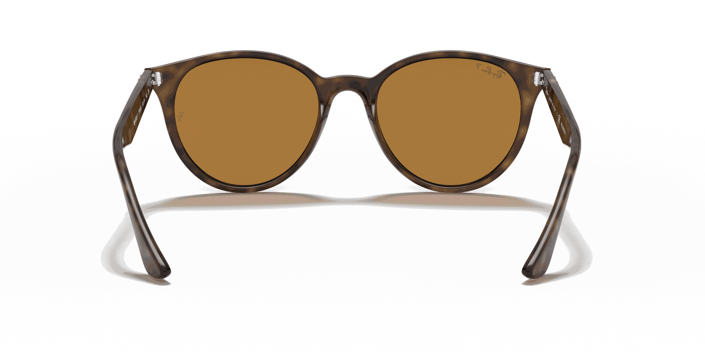 [B-15 Brown Lenses, Polished Light Havana Frame]