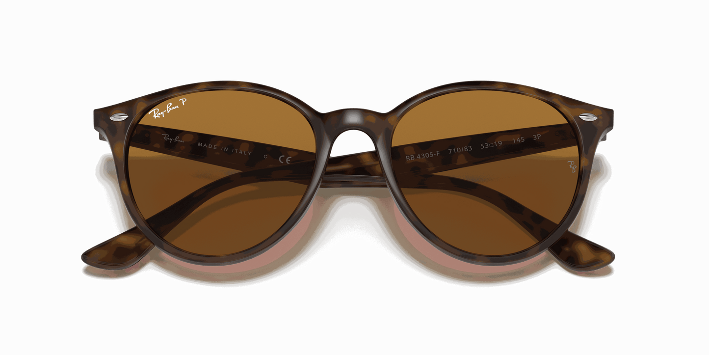 [B-15 Brown Lenses, Polished Light Havana Frame]