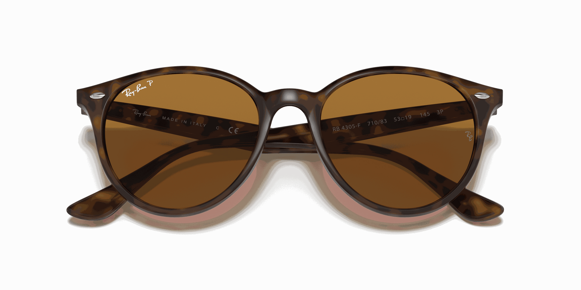 [B-15 Brown Lenses, Polished Light Havana Frame]