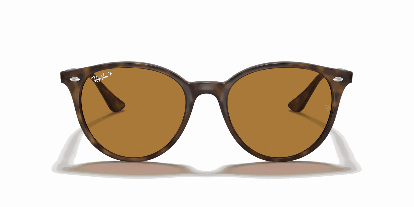 [B-15 Brown Lenses, Polished Light Havana Frame]