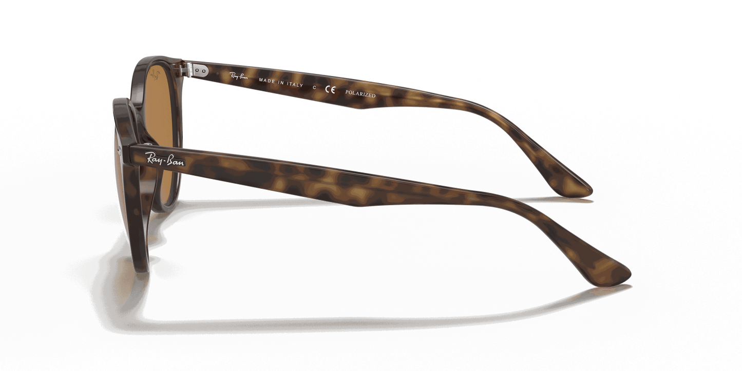 [B-15 Brown Lenses, Polished Light Havana Frame]