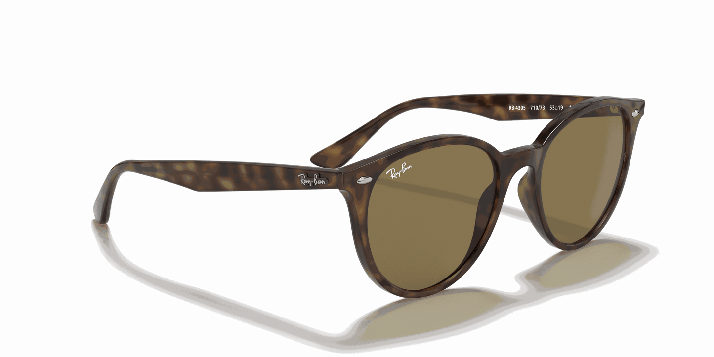 [Dark Brown Lenses, Polished Light Havana Frame]