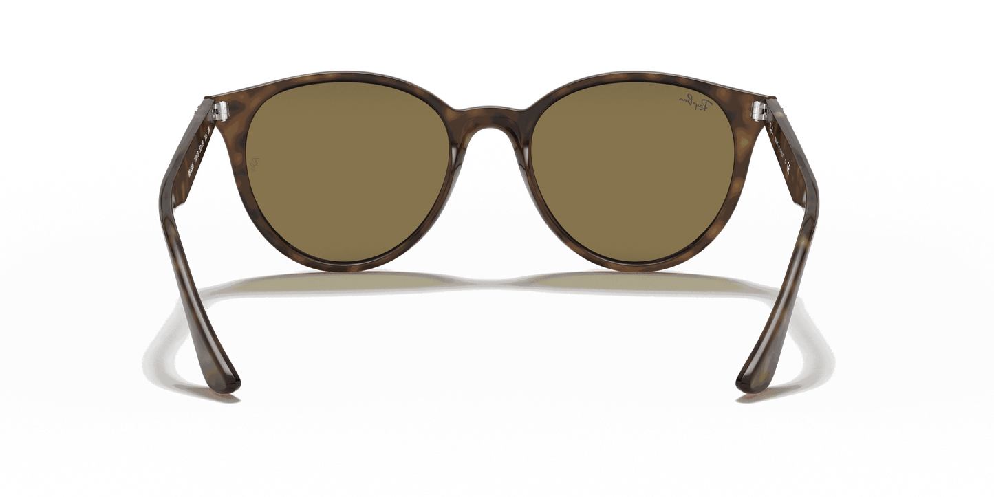 [Dark Brown Lenses, Polished Light Havana Frame]