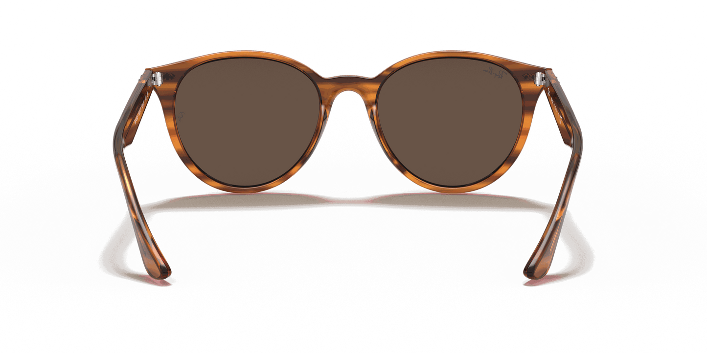 [Dark Brown Lenses, Polished Striped Red Havana Frame]
