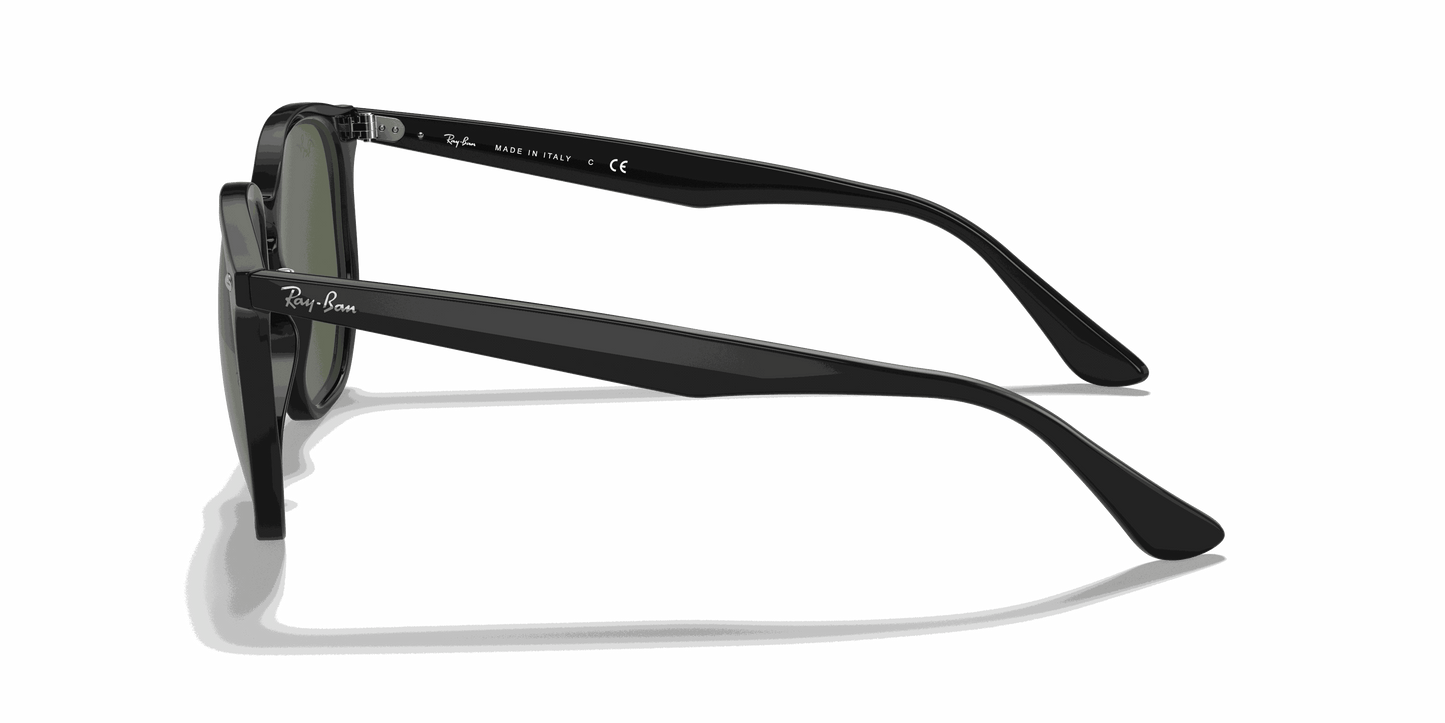 [Dark Green Lenses, Polished Black Frame]