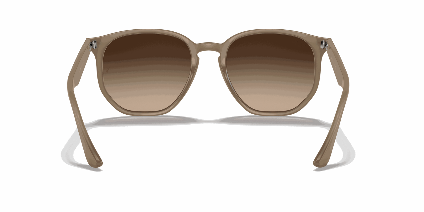 [Dark Brown Lenses, Polished Beige Frame]