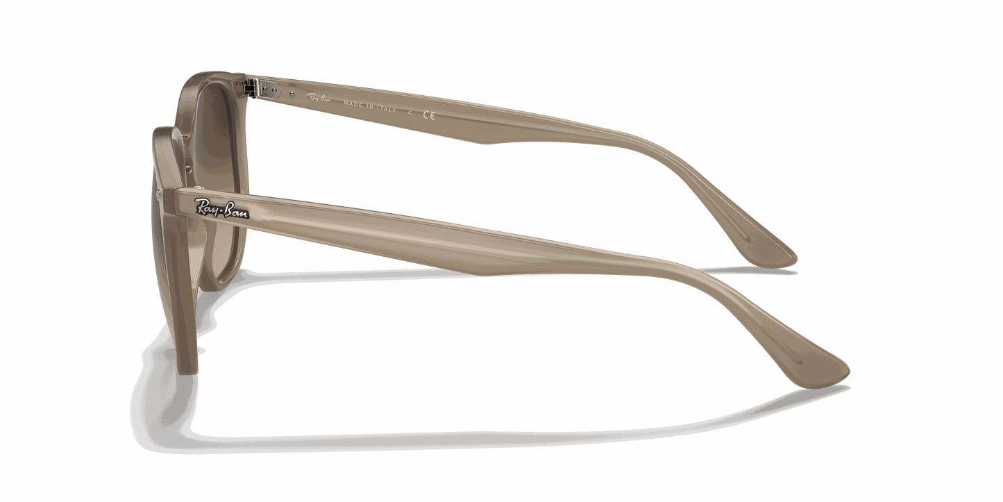 [Dark Brown Lenses, Polished Beige Frame]