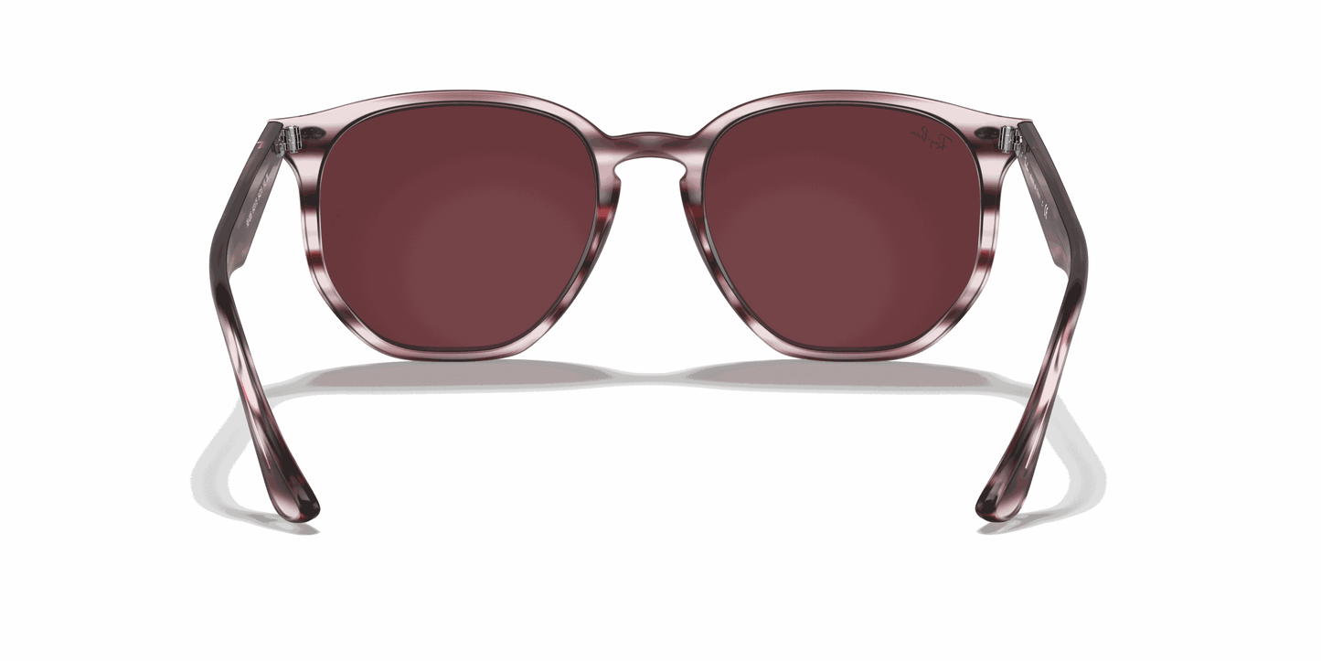 [Dark Violet Lenses, Polished Striped Bordeaux Havana Frame]