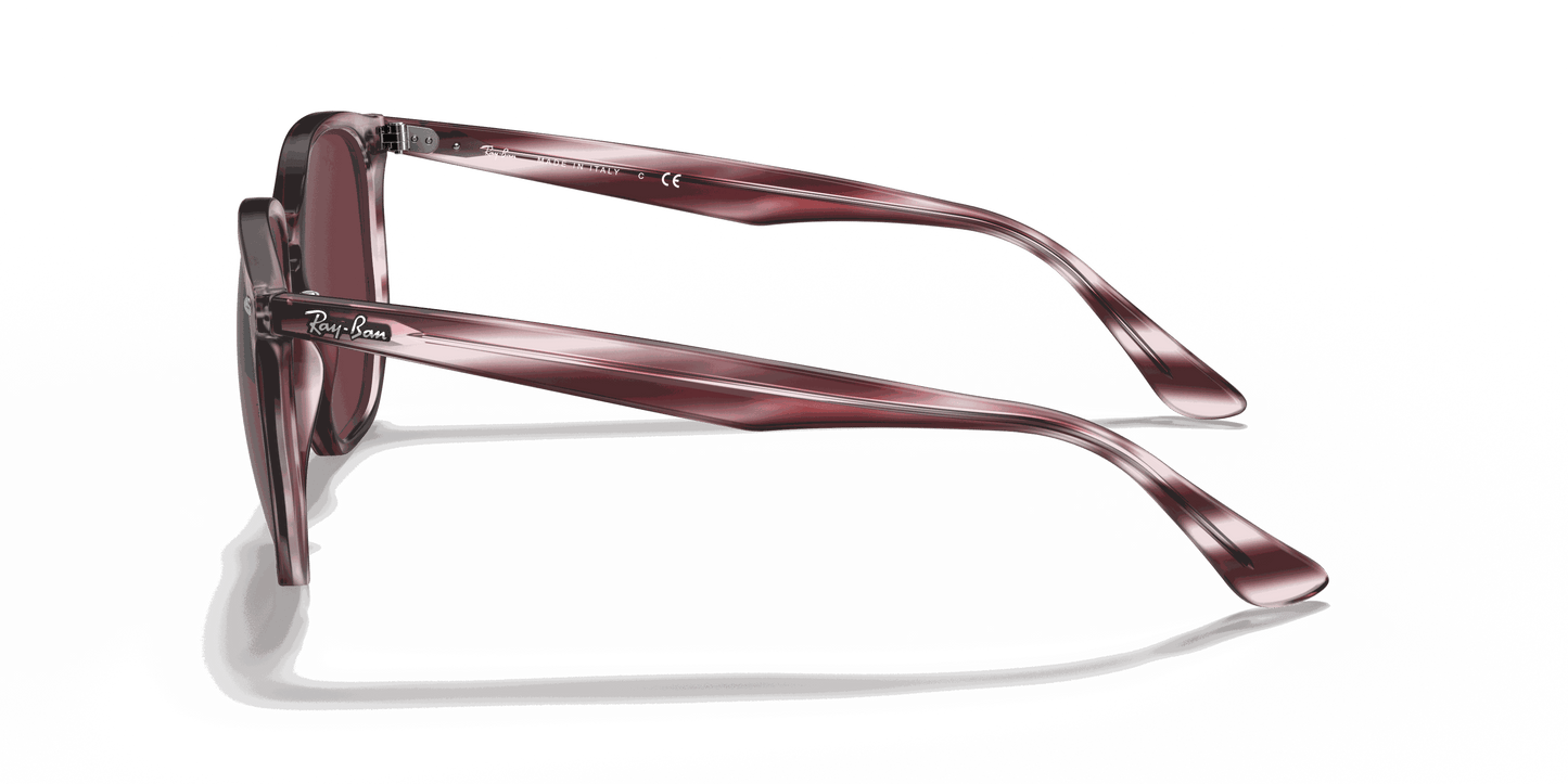 [Dark Violet Lenses, Polished Striped Bordeaux Havana Frame]