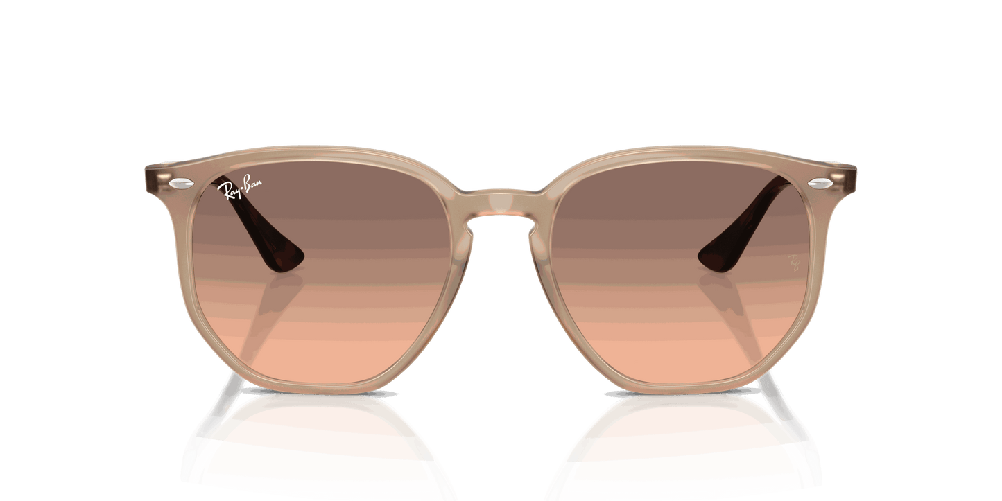 [Pink Gradient Grey Lenses, Polished Turtledove Frame]