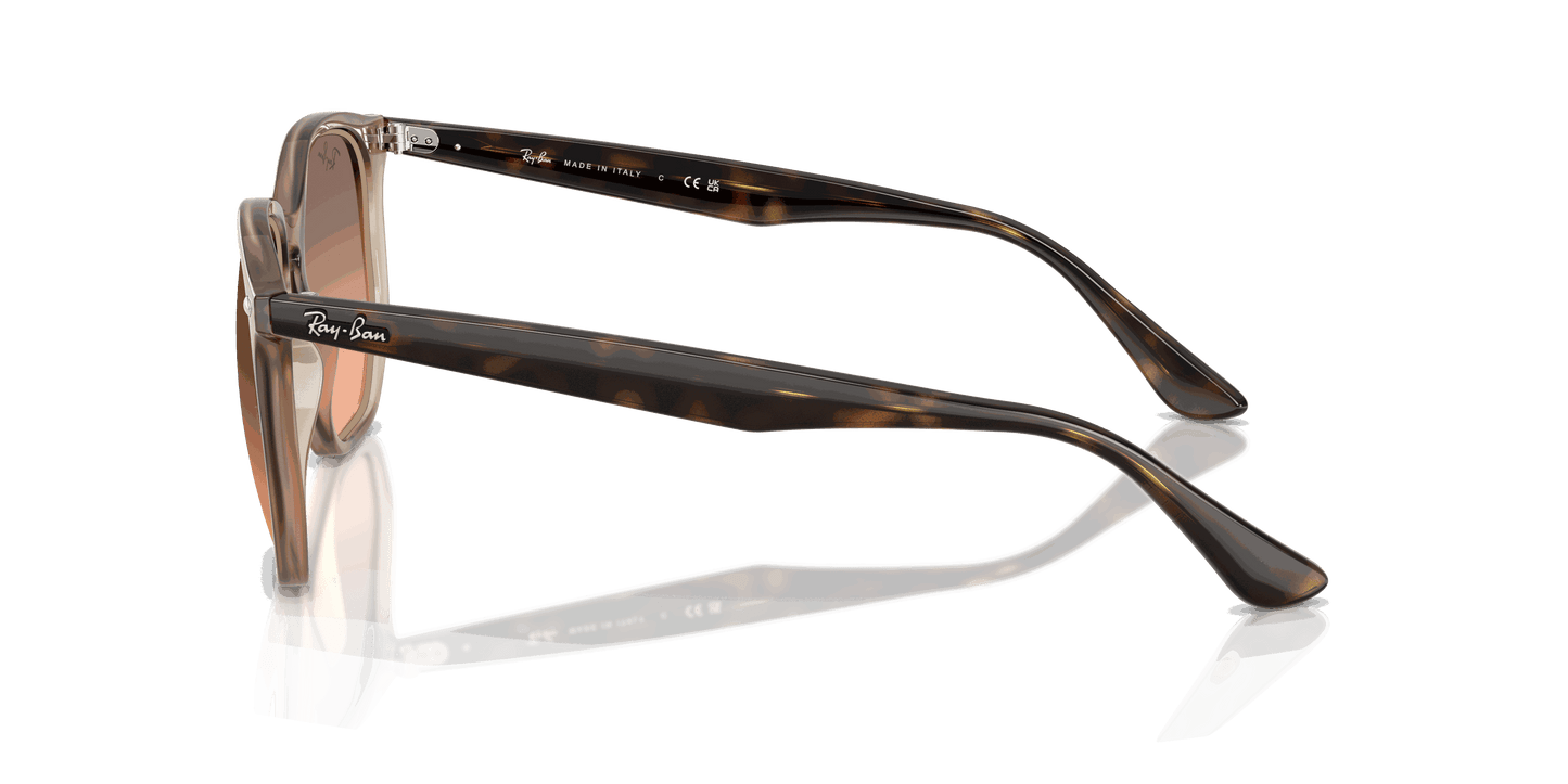 [Pink Gradient Grey Lenses, Polished Turtledove Frame]
