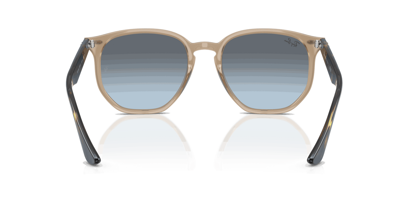 [Blue Gradient Grey Lenses, Polished Turtledove Frame]