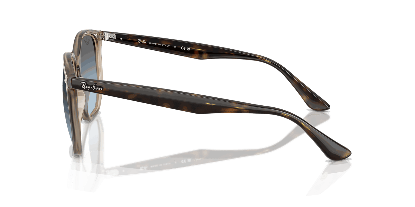 [Blue Gradient Grey Lenses, Polished Turtledove Frame]