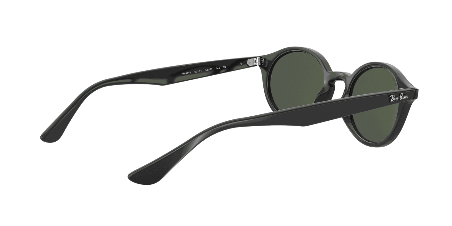 [Dark Green Lenses, Polished Black Frame]