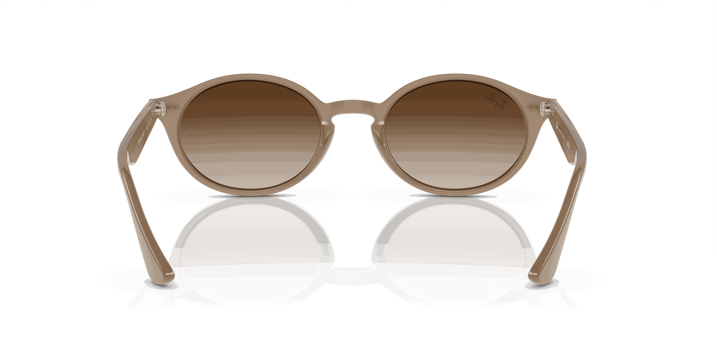 [Brown Lenses, Polished Turtledove Frame]