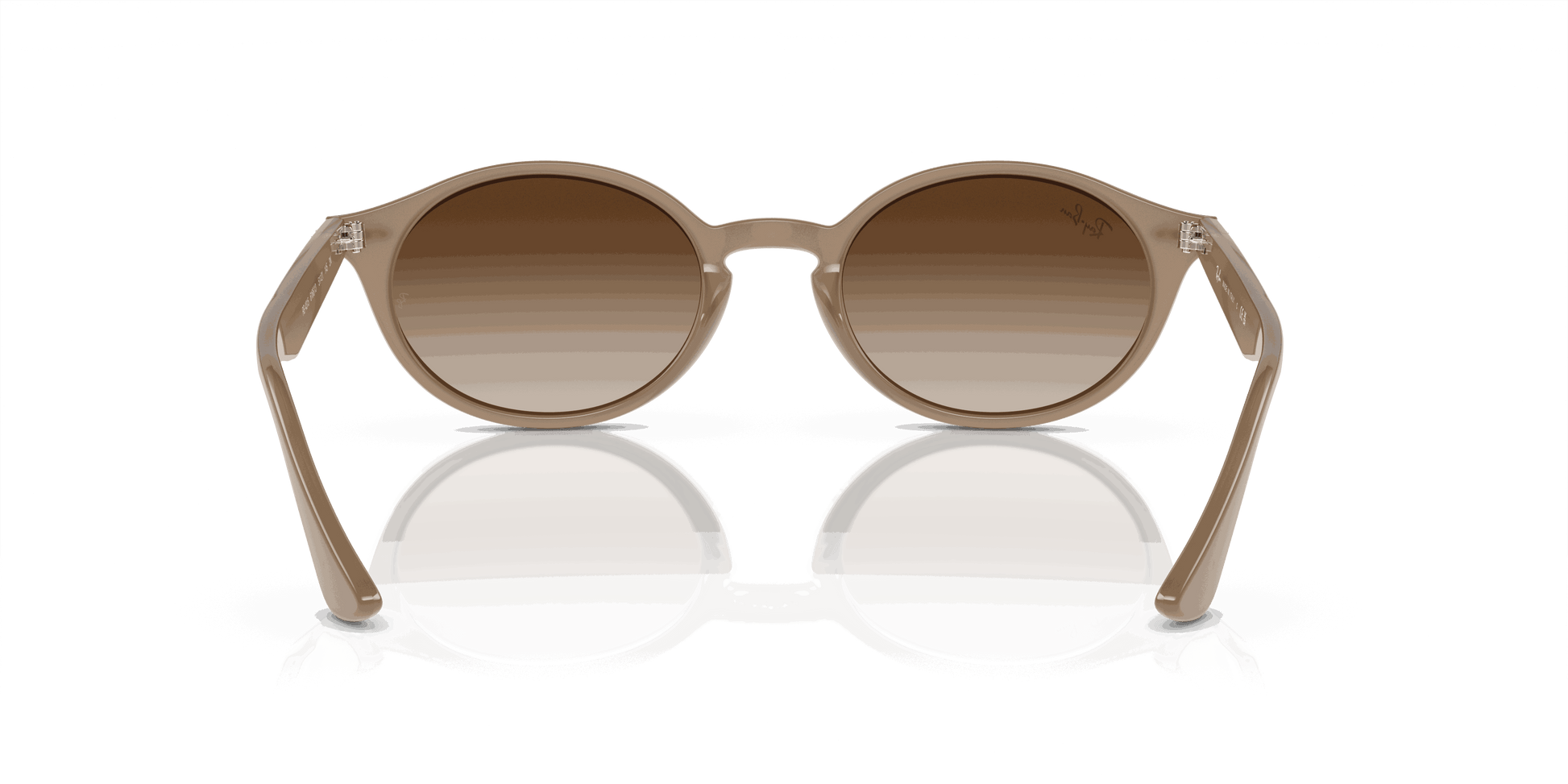 [Brown Lenses, Polished Turtledove Frame]
