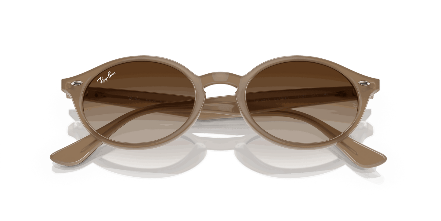 [Brown Lenses, Polished Turtledove Frame]