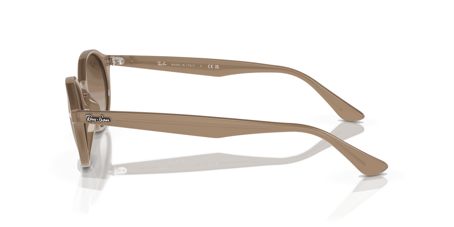 [Brown Lenses, Polished Turtledove Frame]
