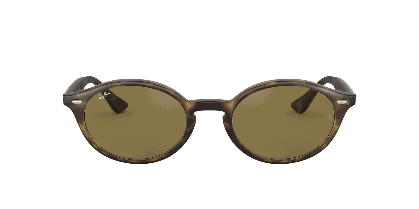 [B-15 Brown Lenses, Polished Light Havana Frame]