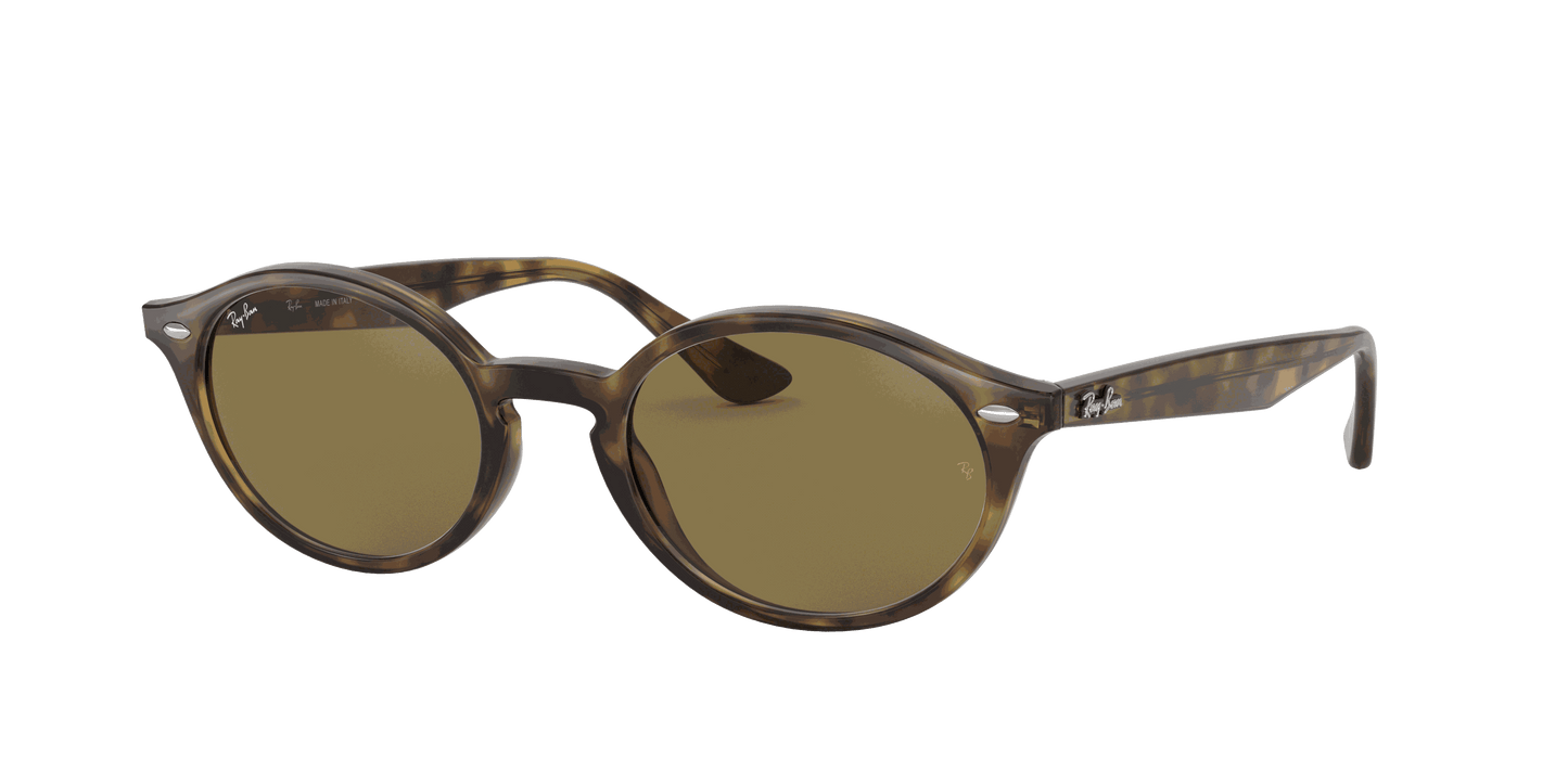 [B-15 Brown Lenses, Polished Light Havana Frame]