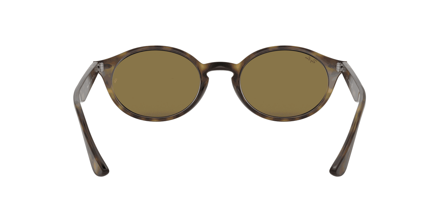 [B-15 Brown Lenses, Polished Light Havana Frame]