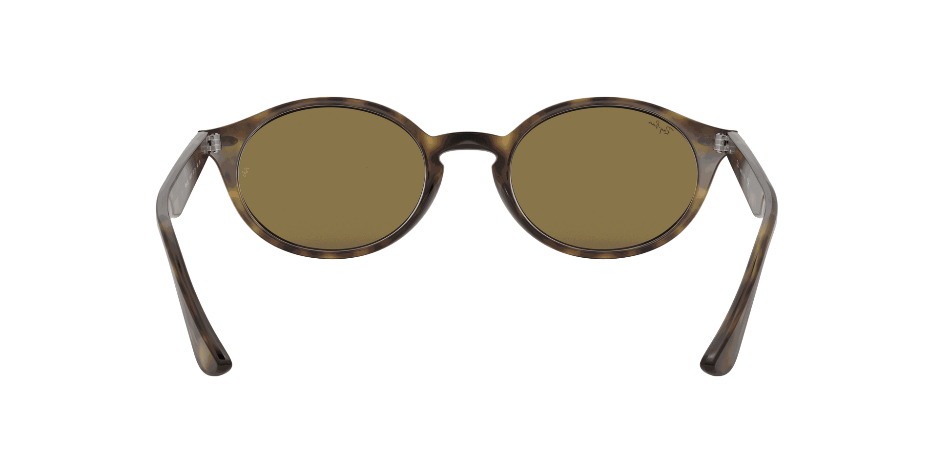 [B-15 Brown Lenses, Polished Light Havana Frame]